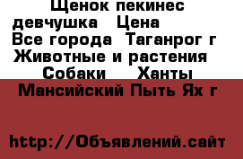 Щенок пекинес девчушка › Цена ­ 2 500 - Все города, Таганрог г. Животные и растения » Собаки   . Ханты-Мансийский,Пыть-Ях г.